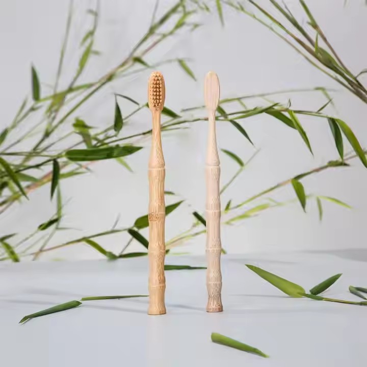 Waarom kiezen voor een bamboe -tandenborstel?