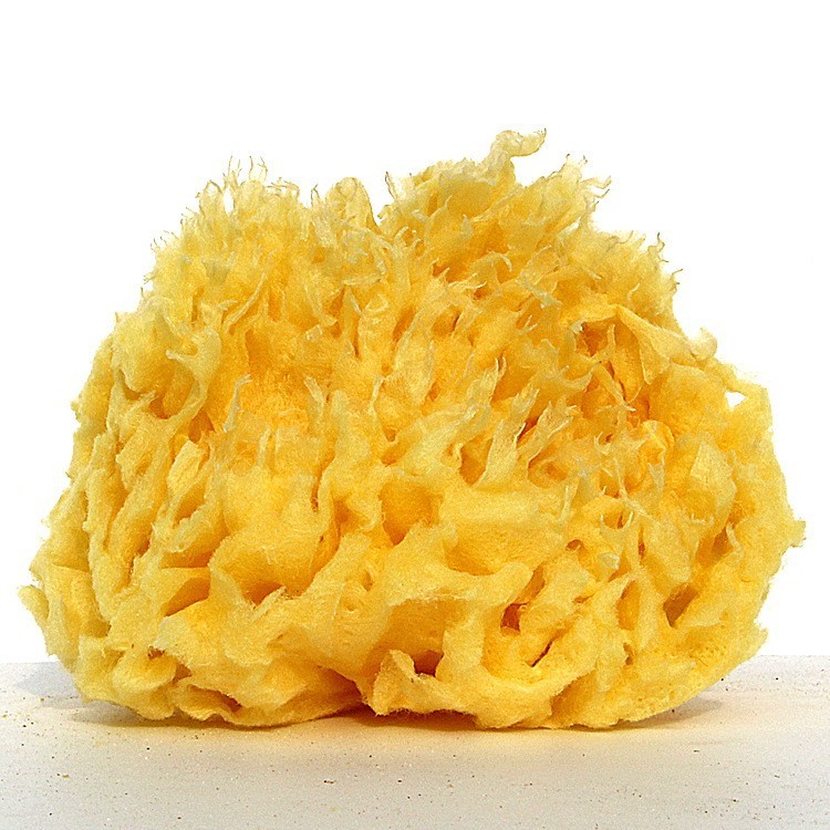 Hoe kan Griekse natuurlijke spons uw badervaring verbeteren?